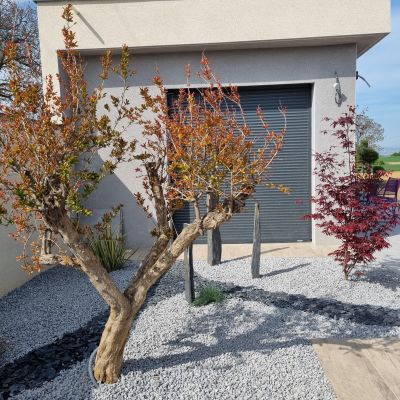 Pool House